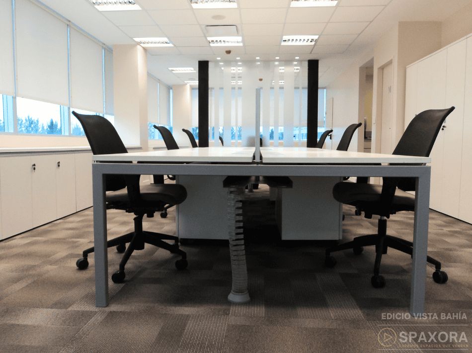 diseño oficina comercial reforma arquitectura spaxora