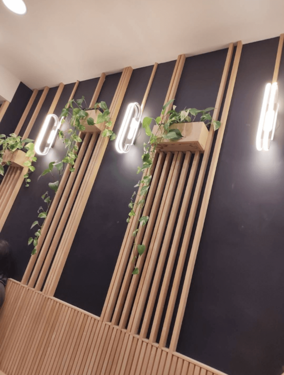 diseño local comercial reforma arquitectura spaxora